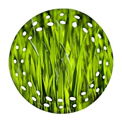Agricultural Field   Round Filigree Ornament (two Sides) by rsooll