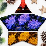 Primary Color Queen Anne s Lace Star Ornament (Two Sides) Back