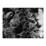Tree Fungus Branch Vertical High Contrast Double Sided Flano Blanket (Mini)  35 x27  Blanket Back