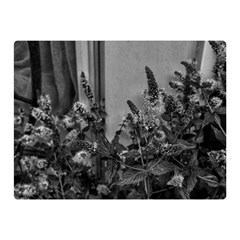 Black And White Mint Double Sided Flano Blanket (mini)  by okhismakingart