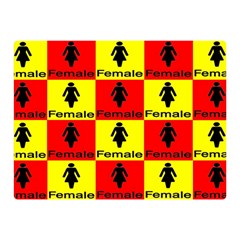 Female Double Sided Flano Blanket (mini)  by ArtworkByPatrick