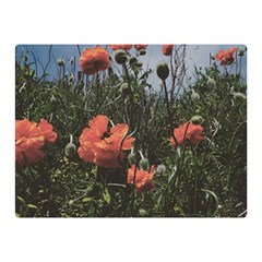 Faded Poppy Field  Double Sided Flano Blanket (mini)  by okhismakingart