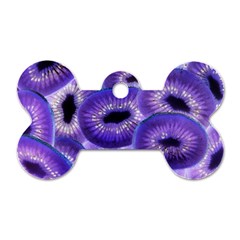 Sliced Kiwi Fruits Purple Dog Tag Bone (two Sides) by Pakrebo