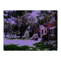 Hot Day In Dallas 4 Double Sided Flano Blanket (mini)  by bestdesignintheworld
