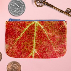 Plant Vineyard Wine Sunlight Texture Leaf Pattern Green Red Color Macro Autumn Circle Vein Sunny  Large Coin Purse by Vaneshart