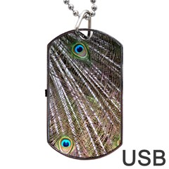 Peacock Feathers Pattern Colorful Dog Tag Usb Flash (one Side) by Vaneshart