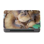 Close Up Mushroom Abstract Memory Card Reader with CF Front