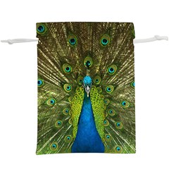 Peacock Feathers Bird Nature  Lightweight Drawstring Pouch (xl) by Vaneshart