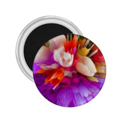 Poppy Flower 2 25  Magnets by Sparkle