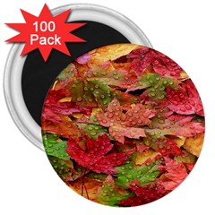 Spring Leafs 3  Magnets (100 Pack) by Sparkle