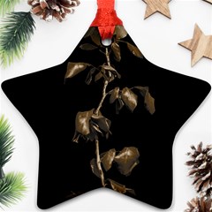 Dark Rose Poster Ornament (star) by dflcprintsclothing