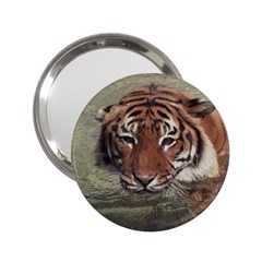 Swimming Tiger 2 25  Handbag Mirrors by ExtraAwesomeSauce