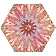 Pink Beauty 1 Wooden Puzzle Hexagon by LW41021