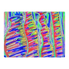 Vibrant-vases Double Sided Flano Blanket (mini)  by LW323