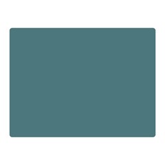 Beetle Green Double Sided Flano Blanket (mini)  by FabChoice