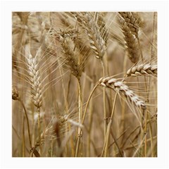 Wheat-field Medium Glasses Cloth by SomethingForEveryone