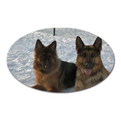 2 German Shepherds Oval Magnet by SomethingForEveryone
