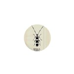 Banded Alder Borer  1  Mini Magnets Front