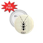 Banded Alder Borer  1.75  Buttons (10 pack) Front