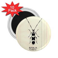 Banded Alder Borer  2 25  Magnets (10 Pack)  by Limerence