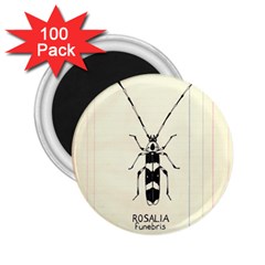Banded Alder Borer  2 25  Magnets (100 Pack)  by Limerence