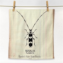 Banded Alder Borer  Face Towel by Limerence