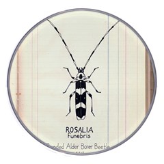 Banded Alder Borer  Wireless Charger by Limerence