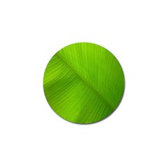 Banana Leaf Golf Ball Marker (4 Pack) by artworkshop