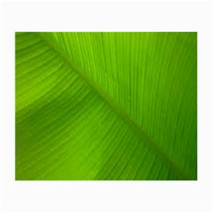 Banana Leaf Small Glasses Cloth (2 Sides) by artworkshop
