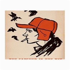 Catcher In The Rye Small Glasses Cloth (2 Sides) by artworkshop