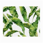 Sheets Tropical Plant Palm Summer Exotic Small Glasses Cloth (2 Sides) Front