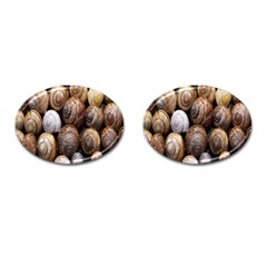 Snail Shells Pattern Arianta Arbustorum Cufflinks (oval) by artworkshop