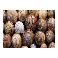 Snail Shells Pattern Arianta Arbustorum Double Sided Flano Blanket (mini)  by artworkshop