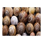 Snail Shells Pattern Arianta Arbustorum Double Sided Flano Blanket (Mini)  35 x27  Blanket Back
