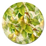 Pear Fruit Tree Organic Pattern Magnet 5  (Round) Front