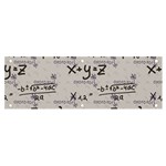Pattern Wallpaper Math Formula Albert Einstein Banner and Sign 6  x 2  Front