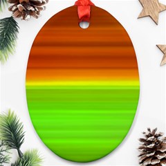 Orange And Green Blur Abstract Print Oval Ornament (two Sides) by dflcprintsclothing