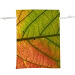 Leaf Autumn Fall Season Macro  Lightweight Drawstring Pouch (XL) Back