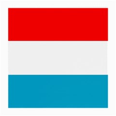 Luxembourg Medium Glasses Cloth (2 Sides) by tony4urban