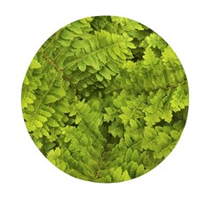 Botanical Motif Plants Detail Photography Mini Round Pill Box (pack Of 3) by dflcprintsclothing