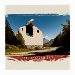  Us Ventag Eagles Travel Poster Graphic Style Redbleuwhite  Medium Glasses Cloth (2 Sides) by steakspro94