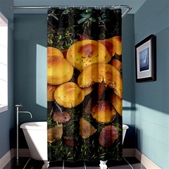 Orange Mushrooms In Patagonia Forest, Ushuaia, Argentina Shower Curtain 36  X 72  (stall)  by dflcprintsclothing