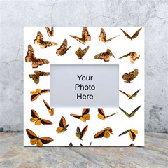 Butterfly Butterflies Insect Swarm White Box Photo Frame 4  X 6  by Salman4z