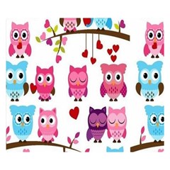 Owl Pattern Two Sides Premium Plush Fleece Blanket (small) by Salman4z