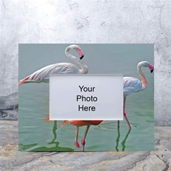Birds White Tabletop Photo Frame 4 x6  by Sparkle