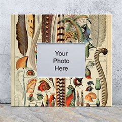 Feathers Birds Vintage Art White Wall Photo Frame 5  X 7  by Vaneshart