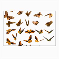 Butterfly Butterflies Insect Swarm Postcard 4 x 6  (pkg Of 10) by 99art