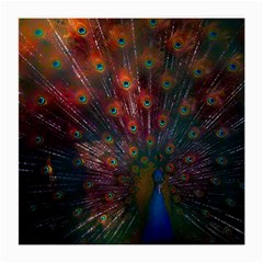 Red Peacock Feather Medium Glasses Cloth (2 Sides) by Cowasu