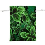 Shanghai Botanical Garden Lightweight Drawstring Pouch (XL) Front