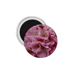 Cherry-blossoms 1.75  Magnets Front